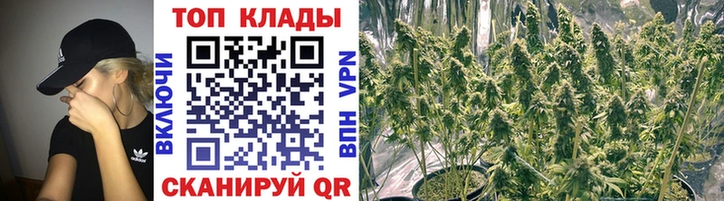 Где купить наркотики Багратионовск ГЕРОИН Cocaine Мефедрон Бошки Шишки