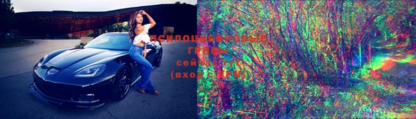 спиды Алзамай