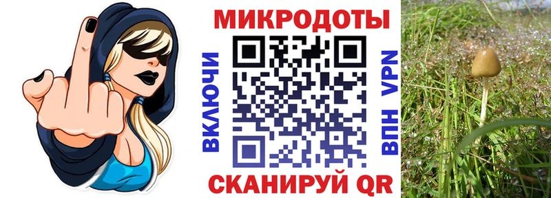 Псилоцибиновые грибы мухоморы  Багратионовск 